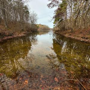 Photo #15 of SOLD property in Off Bowmantown Road, Roxboro, NC 49.5 acres