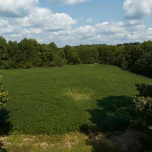Photo #17 of SOLD property in Off Bowmantown Road, Roxboro, NC 49.5 acres