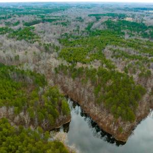 Photo #20 of SOLD property in Off Bowmantown Road, Roxboro, NC 49.5 acres