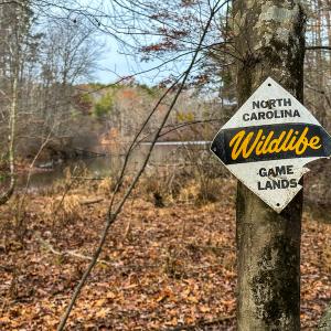Photo #21 of SOLD property in Off Bowmantown Road, Roxboro, NC 49.5 acres