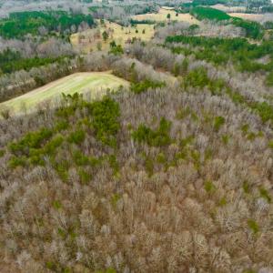 Photo #22 of SOLD property in Off Bowmantown Road, Roxboro, NC 49.5 acres