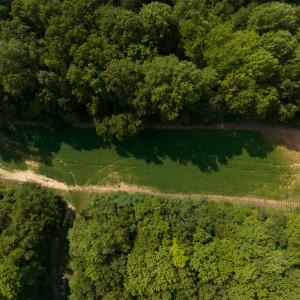 Photo #25 of SOLD property in Off Bowmantown Road, Roxboro, NC 49.5 acres