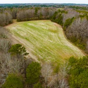 Photo #29 of SOLD property in Off Bowmantown Road, Roxboro, NC 49.5 acres