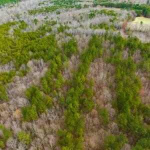 Photo #30 of SOLD property in Off Bowmantown Road, Roxboro, NC 49.5 acres