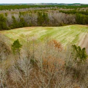 Photo #32 of SOLD property in Off Bowmantown Road, Roxboro, NC 49.5 acres
