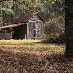 Photo #6 of SOLD property in Off Hwy 701 N, Harrells, NC 62.0 acres