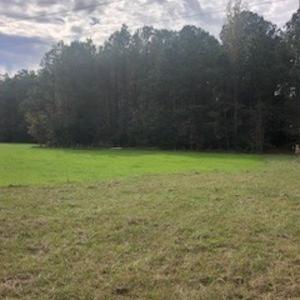 Photo #2 of SOLD property in Off Hwy 701 N, Harrells, NC 62.0 acres
