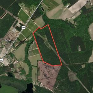 Photo #1 of SOLD property in Off Hwy 701 N, Harrells, NC 62.0 acres