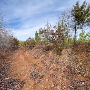 Photo #11 of SOLD property in Off Derby Road, Gretna, VA 123.1 acres