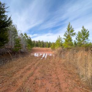 Photo #12 of SOLD property in Off Derby Road, Gretna, VA 123.1 acres