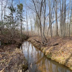 Photo #14 of SOLD property in Off Derby Road, Gretna, VA 123.1 acres