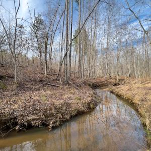 Photo #15 of SOLD property in Off Derby Road, Gretna, VA 123.1 acres