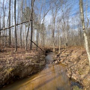 Photo #16 of SOLD property in Off Derby Road, Gretna, VA 123.1 acres