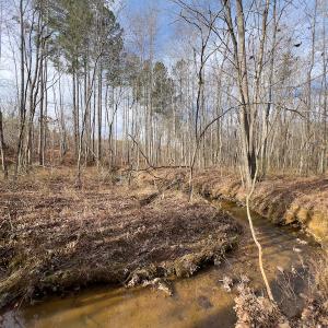 Photo #17 of SOLD property in Off Derby Road, Gretna, VA 123.1 acres