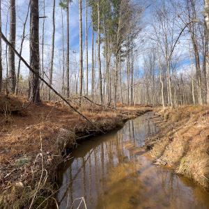 Photo #18 of SOLD property in Off Derby Road, Gretna, VA 123.1 acres