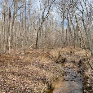 Photo #21 of SOLD property in Off Derby Road, Gretna, VA 123.1 acres