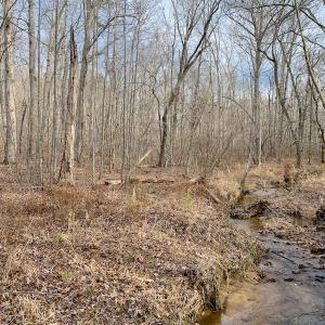 Photo #22 of SOLD property in Off Derby Road, Gretna, VA 123.1 acres