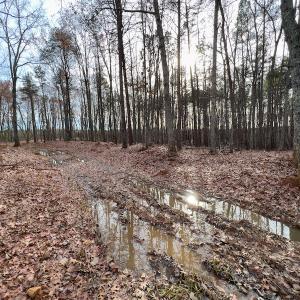 Photo #25 of SOLD property in Off Derby Road, Gretna, VA 123.1 acres