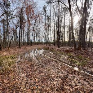 Photo #26 of SOLD property in Off Derby Road, Gretna, VA 123.1 acres