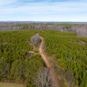 Photo #30 of SOLD property in Off Derby Road, Gretna, VA 123.1 acres