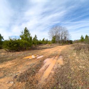 Photo #4 of SOLD property in Off Derby Road, Gretna, VA 123.1 acres
