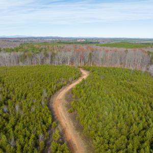 Photo #31 of SOLD property in Off Derby Road, Gretna, VA 123.1 acres