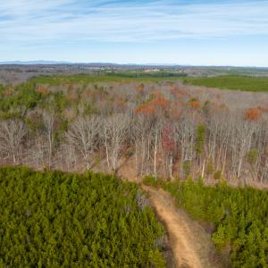 Photo #32 of SOLD property in Off Derby Road, Gretna, VA 123.1 acres