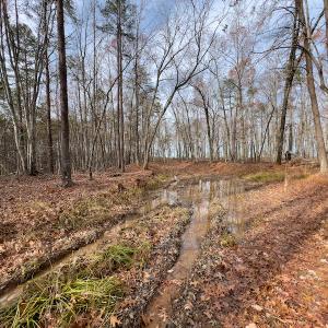 Photo #33 of SOLD property in Off Derby Road, Gretna, VA 123.1 acres