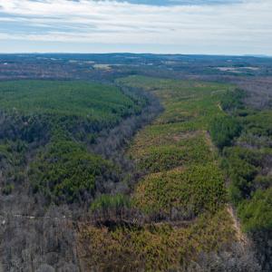 Photo #34 of SOLD property in Off Derby Road, Gretna, VA 123.1 acres