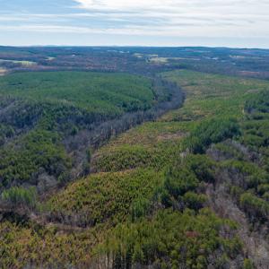 Photo #35 of SOLD property in Off Derby Road, Gretna, VA 123.1 acres