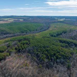 Photo #36 of SOLD property in Off Derby Road, Gretna, VA 123.1 acres