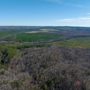 Photo #38 of SOLD property in Off Derby Road, Gretna, VA 123.1 acres