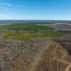 Photo #39 of SOLD property in Off Derby Road, Gretna, VA 123.1 acres