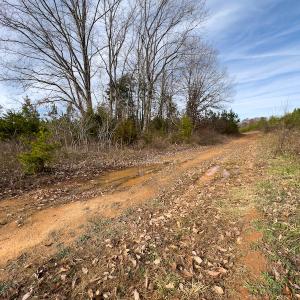 Photo #5 of SOLD property in Off Derby Road, Gretna, VA 123.1 acres