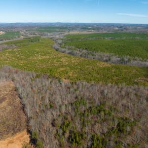 Photo #41 of SOLD property in Off Derby Road, Gretna, VA 123.1 acres