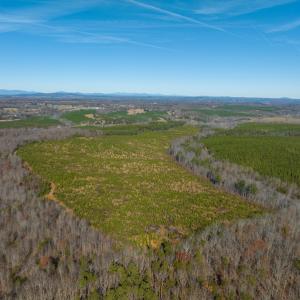 Photo #42 of SOLD property in Off Derby Road, Gretna, VA 123.1 acres