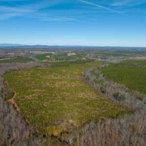 Photo #44 of SOLD property in Off Derby Road, Gretna, VA 123.1 acres