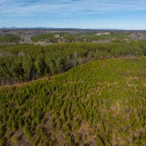 Photo #46 of SOLD property in Off Derby Road, Gretna, VA 123.1 acres