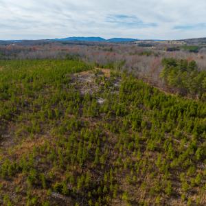Photo #47 of SOLD property in Off Derby Road, Gretna, VA 123.1 acres
