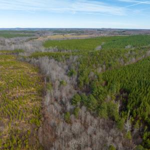 Photo #48 of SOLD property in Off Derby Road, Gretna, VA 123.1 acres