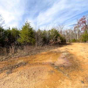 Photo #6 of SOLD property in Off Derby Road, Gretna, VA 123.1 acres