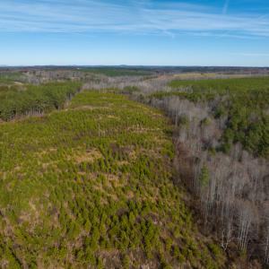 Photo #49 of SOLD property in Off Derby Road, Gretna, VA 123.1 acres
