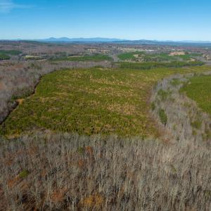 Photo #50 of SOLD property in Off Derby Road, Gretna, VA 123.1 acres