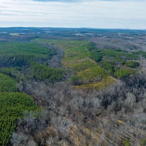 Photo #52 of SOLD property in Off Derby Road, Gretna, VA 123.1 acres