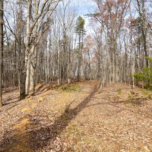 Photo #7 of SOLD property in Off Derby Road, Gretna, VA 123.1 acres