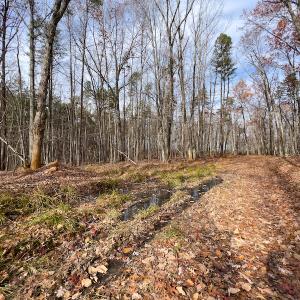 Photo #8 of SOLD property in Off Derby Road, Gretna, VA 123.1 acres