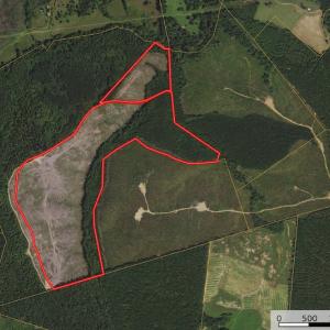 Photo #1 of SOLD property in Off Derby Road, Gretna, VA 123.1 acres