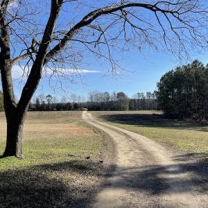 Photo #18 of 7368 Colonial Trail East, Surry, VA 35.7 acres