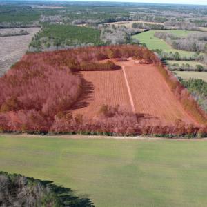 Photo #2 of 7368 Colonial Trail East, Surry, VA 35.7 acres