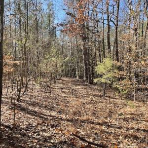 Photo #28 of 7368 Colonial Trail East, Surry, VA 35.7 acres